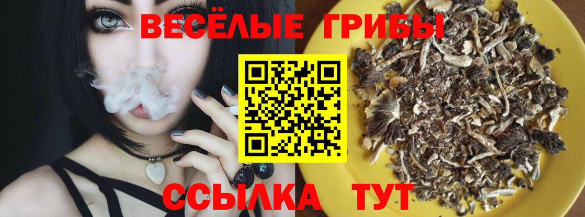 Семёнов  Псилоцибиновые грибы ЛСД  Галлюциногенные грибы MAGIC MUSHROOMS  Вход с VPN 